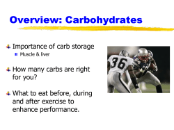 Overview: Carbohydrates