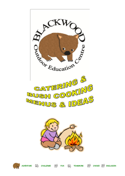 Basic Menu Suggestions