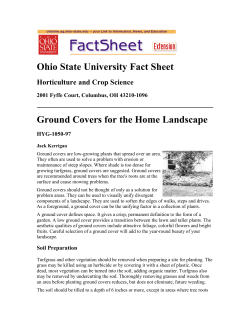 Ohio State University Fact Sheet Ground Covers for the Home