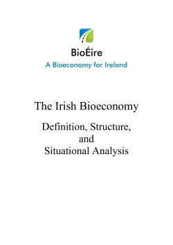 The Irish Bioeconomy