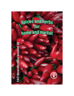 Spices and herbs for home and market