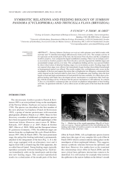 (CYCLIOpHOrA) ANd triticella flaVa (BrYOzOA)