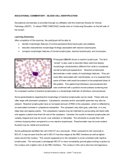 Blood Cell ID: Lymphocyte Morphology (2008)