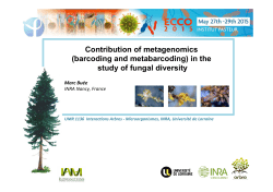 in the study of fungal diversity - European Culture Collections