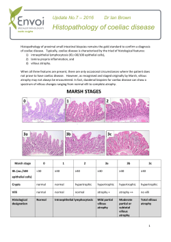 Histopathology of coeliac disease