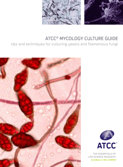 ATCC&reg; MyCology CulTure guide