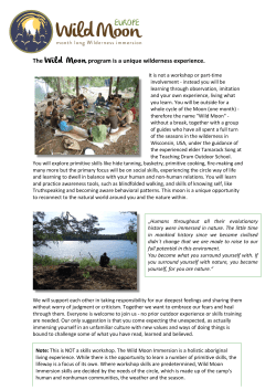 the extended Flyer