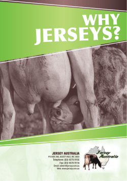 Jerseys? - Jersey Australia