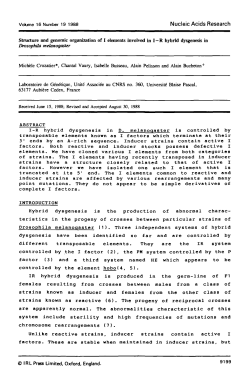 Structure and genomic organization of I elements involved in I