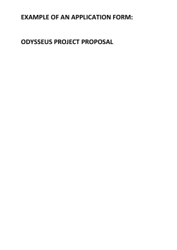 EXAMPLE OF AN APPLICATION FORM: ODYSSEUS PROJECT
