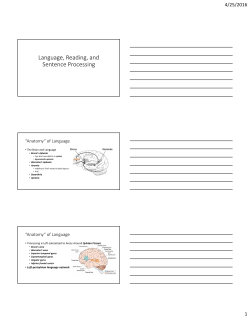 Language, Reading, and Sentence Processing