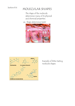 molecular shapes - Perry Local Schools