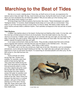 Marching to The Beat of Tides