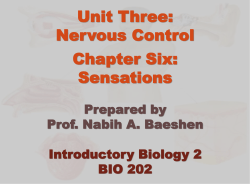 Prepared by Prof. Nabih A. Baeshen 31