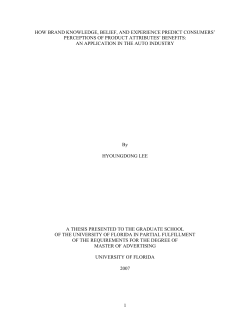 how brand knowledge level, belief, and experience predict