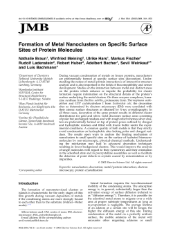 Formation of Metal Nanoclusters on Specific Surface Sites of Protein