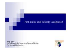 Pink Noise and Sensory Adaptation
