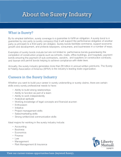 About the Surety Industry