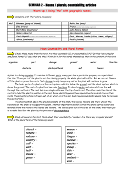SEMINAR 2 &ndash; Nouns / plurals, countability, articles