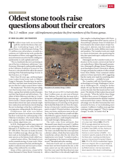 Oldest stone tools raise questions about their creators
