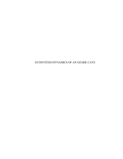 ecosystem dynamics of an ozark cave