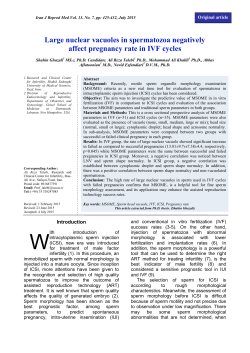Large nuclear vacuoles in spermatozoa negatively affect pregnancy