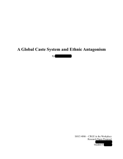 A Global Caste System and Ethnic Antagonism