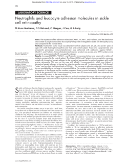 Neutrophils and leucocyte adhesion molecules in sickle cell