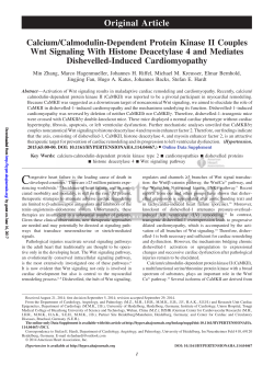 Calcium/Calmodulin-Dependent Protein Kinase II Couples Wnt