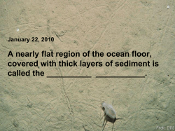 A nearly flat region of the ocean floor, covered with thick