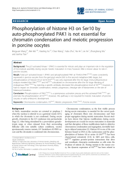 Phosphorylation of histone H3 on Ser10 by auto