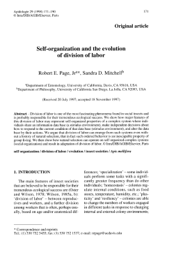 Self-organization and the evolution