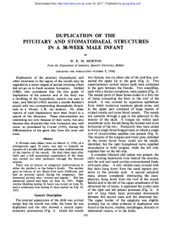 duplication of the pituitary and stomatodaeal structures