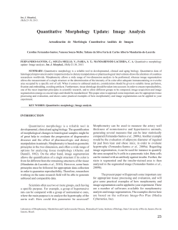Quantitative Morphology Update: Image Analysis