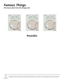 Famous Things - WordPress.com