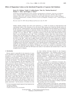 Effect of Magnesium Cation on the Interfacial Properties of Aqueous