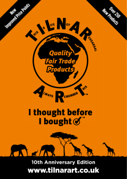 Soapstone Animal Collection