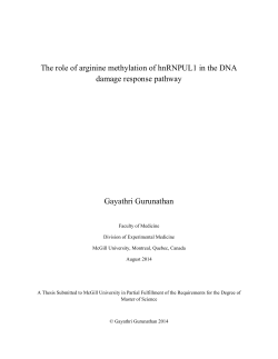 The role of arginine methylation of hnRNPUL1 in the DNA damage