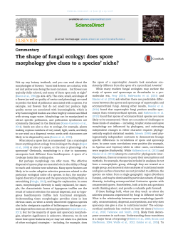 The shape of fungal ecology: does spore morphology give clues to a
