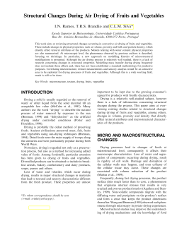 Structural Changes During Air Drying of Fruits and Vegetables