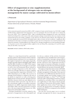 Effect of magnesium or zinc supplementation at the background of