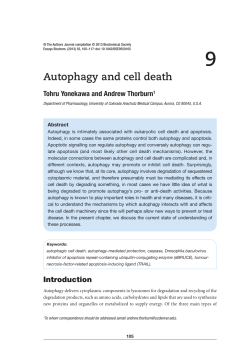 Autophagy and cell death - Essays in Biochemistry