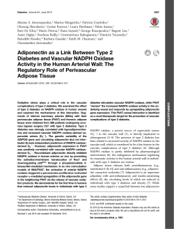 Adiponectin as a Link Between Type 2 Diabetes and Vascular