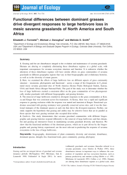 Functional differences between dominant grasses