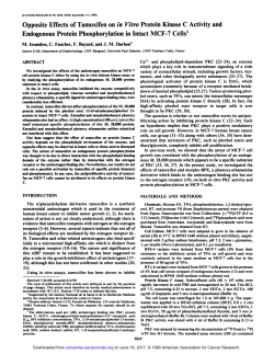 Opposite Effects of Tamoxifen on in Vitro Protein