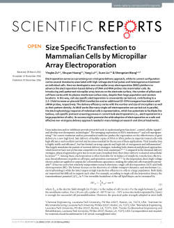 Size Specific Transfection to Mammalian Cells by Micropillar Array