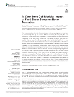 In Vitro Bone Cell Models: Impact of Fluid Shear Stress on Bone