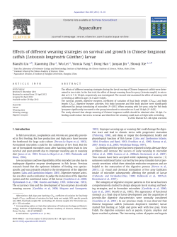 Effects of different weaning strategies on survival and growth in