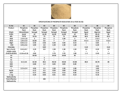 SPECIFICATIONS OF PHOSPHATE ROCK (P2O5 23 to P2O5 36.50