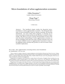 Micro-foundations of urban agglomeration economies